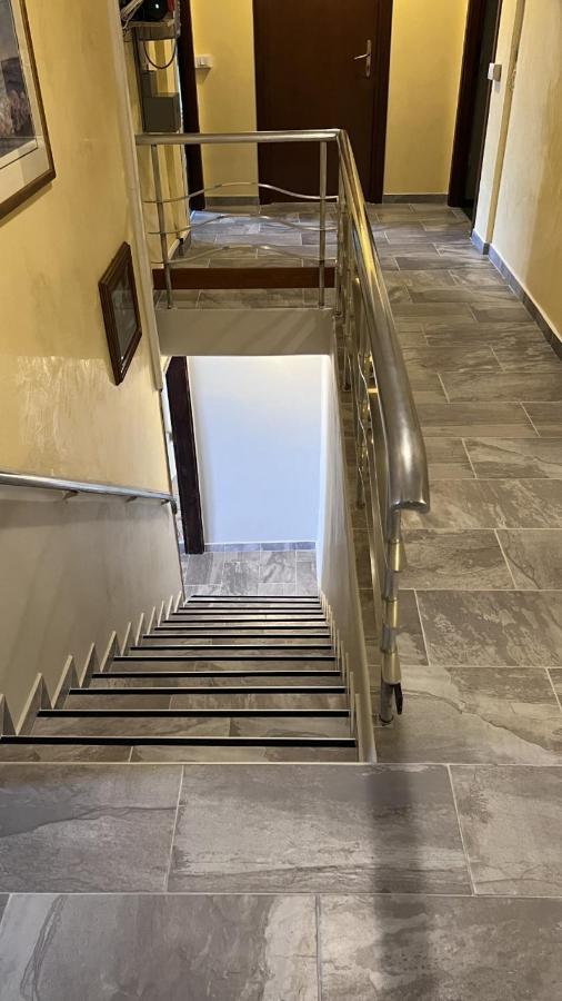 Nuova Belvedere *